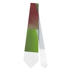 Red Tulips Neckties (two Side) 