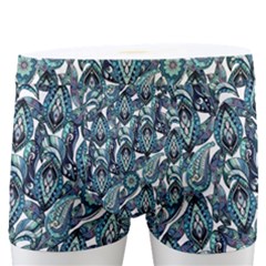 Paisley 1 Men s Boxer Briefs