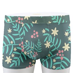 Illustration Pattern Seamless Men s Boxer Briefs
