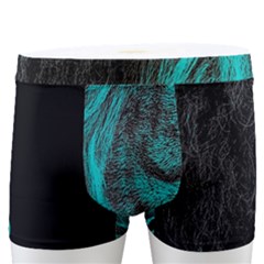 Angry Male Lion Predator Carnivore Men s Boxer Briefs