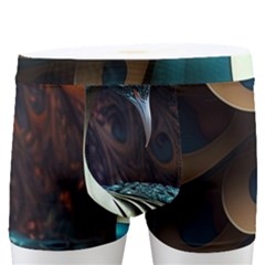 Colorful Peacock Bird Feathers Men s Boxer Briefs