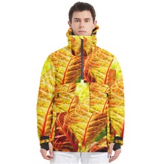 Leaves Plant Pattern Croton Nature Men s Pullover Zip Ski And Snowboard Waterproof Breathable Jacket