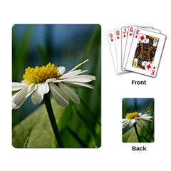 Daisy Playing Cards Single Design