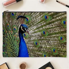 Peacock Cosmetic Bag (xxxl)