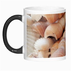 Seashells 3000 4000 Morph Mug