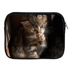 Talk To The Paw Apple Ipad 2/3/4 Zipper Cases