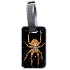 Insect Macro Spider Colombia Luggage Tags (two Sides)