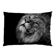 Feline Lion Tawny African Zoo Pillow Case