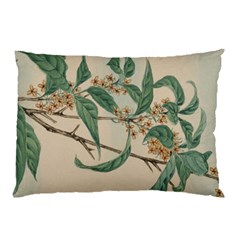 Vintage Watercolour Watercolor Pillow Case