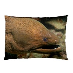 Moray Eel 1 Pillow Case (two Sides)
