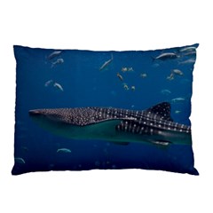 Whale Shark 1 Pillow Case (two Sides)