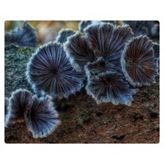 Tree Fungus Double Sided Flano Blanket (medium) 