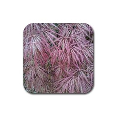 Fineleaf Japanese Maple In April Rubber Coaster (square) 