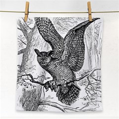 Owl-animals-wild-jungle-nature Face Towel
