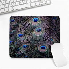 Peacock Feathers Peacock Bird Feathers Large Mousepad