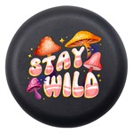 Stay Wild Dento Box Dento Box with Mirror Front