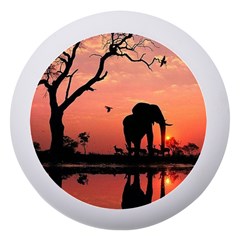 Elephant Landscape Tree Africa Sunset Safari Wild Dento Box With Mirror