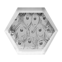 Feather, Bird, Pattern, Peacock, Texture Hexagon Wood Jewelry Box