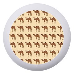 Camel Pattern Design Clothing Dento Box With Mirror