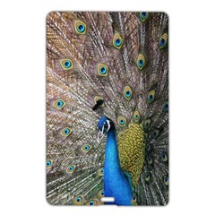 Peacock Bird Animal Peafowl Name Card Style Usb Flash Drive