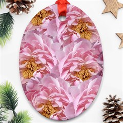 Peonies Nature Bloom Blossom Pink Oval Ornament (two Sides)