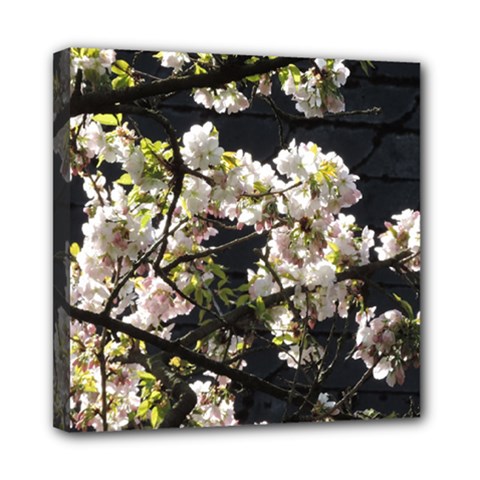 Japanese Cherry Blossom Mini Canvas 8  X 8 
