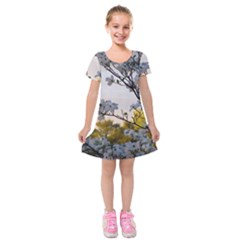 Morning Promise Kids  Short Sleeve Velvet Dress