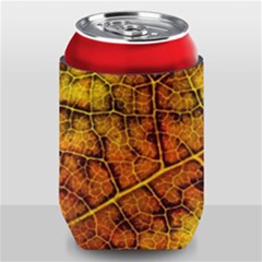 Autumn Leaves Forest Fall Color Can Holder