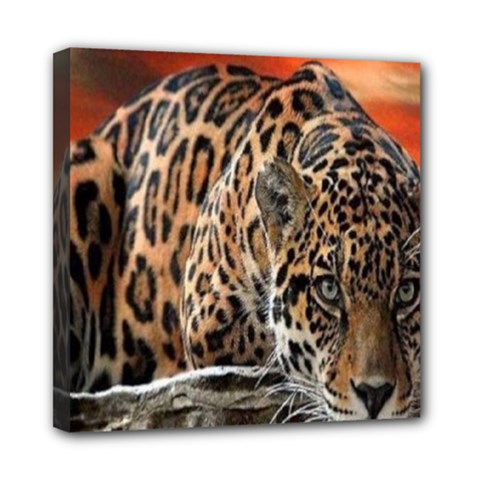 Nature With Tiger Mini Canvas 8  X 8  (stretched)