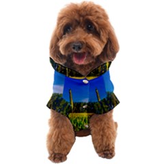 Different Grain Growth Field Dog Coat