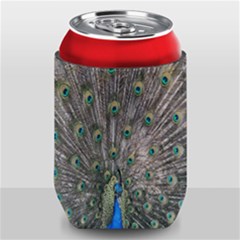Peacock-feathers1 Can Holder