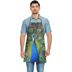 Peacock Bird Feathers Pheasant Nature Animal Texture Pattern Kitchen Apron