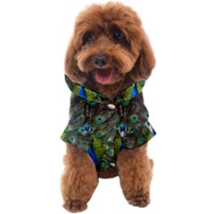 Peacock Bird Feathers Pheasant Nature Animal Texture Pattern Dog Coat