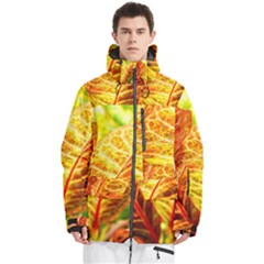 Leaves Plant Pattern Croton Nature Men s Multi Pockets Zip Ski And Snowboard Waterproof Breathable Jacket