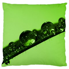 Green Drops Large Cushion Case (single Sided) 