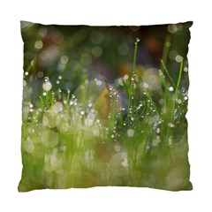 Drops Cushion Case (single Sided) 