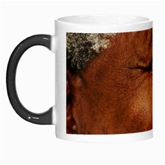 Mandela Morph Mug