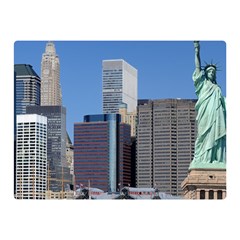 Ny Liberty 2 Double Sided Flano Blanket (mini) 