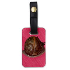 Snail Pink Background Luggage Tags (one Side) 