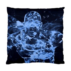 Blue Angel Standard Cushion Case (one Side)
