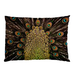 Peacock Feathers Wheel Plumage Pillow Case