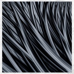 Fractal Mathematics Abstract Canvas 20  X 20  
