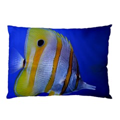 Butterfly Fish 1 Pillow Case