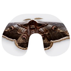 Night Butterfly Butterfly Giant Travel Neck Pillows
