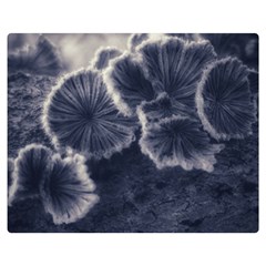 Tree Fungus Ii Double Sided Flano Blanket (medium) 