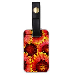 Background 1655938 960 720 Luggage Tag (one Side)