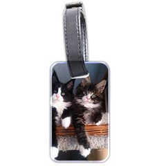 Cats Brothers Luggage Tag (two Sides)