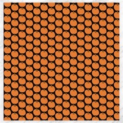 Cute Pumpkin Black Small Canvas 20  X 20 
