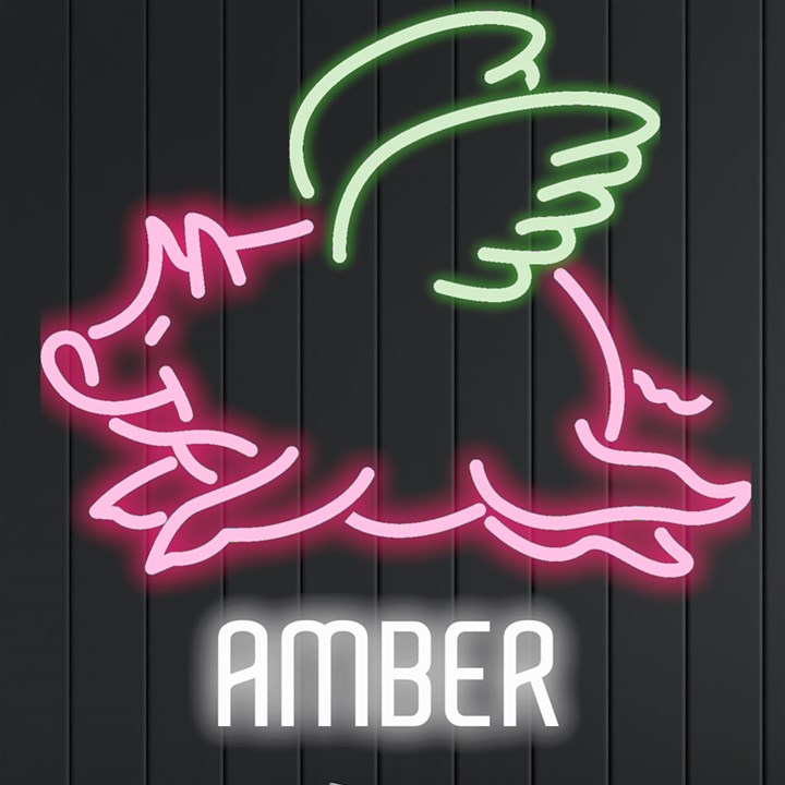 Personalized Flying Pig Name Neon Signs and Lights
