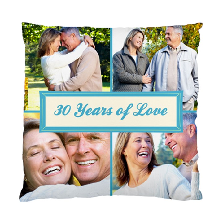 photo cushion Standard Cushion Case (One Side)